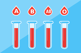 blood type personality what does your blood say about you