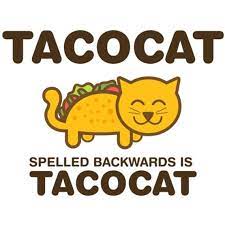 Tacocat spelled backwards is perhaps the greatest game from the folks behind exploding kittens. Tacocat Spelled Backwards Is Tacocat T Shirt Etsy