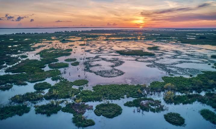 Where to find some of the wildest rides and thrills in Orlando, Florida | National  Geographic