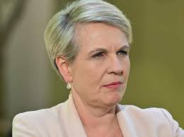 Murrumbidgee mayor Ruth McRae blasts PM over $300m compensation