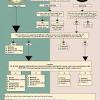 You can stop cats from pooping all over your yard by providing them with their little area. Https Encrypted Tbn0 Gstatic Com Images Q Tbn And9gctkzsyszwng9mt3czv522wcyqsksimihz3rhr7tljdmjegfmvf0 Usqp Cau