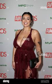 LAS VEGAS, NV - USA, JANUARY 28, 2024. Adult-entertainment star ...
