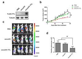 Ttl daniela florez in titles/descriptions. Marine Drugs June 2018 Browse Articles