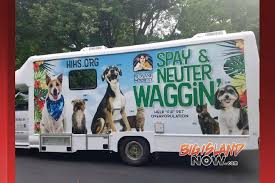 Humane Society To Launch Mobile Spay Neuter Service Big Island Now