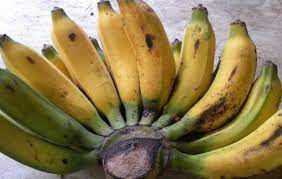 Waktu ada acara di rumah dan panggil tukang masak. 10 Resep Kreasi Pisang Goreng Enak Yang Bisa Jadi Teman Nikmat Saat Santai