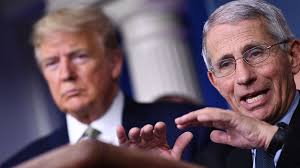 WHO warns coronavirus to 'be with us for long time': Live updates