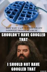 What Has Been Seen Cannot Be Unseen 9gag