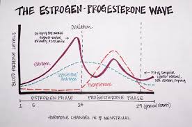 Female Hormones And Fat Loss Fit Pro Firepower