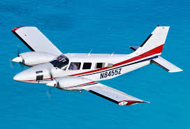 Image result for Piper