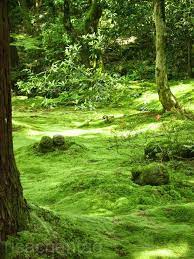 Pin On Someday I Will Visit Here