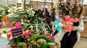 Check spelling or type a new query. Why Are Flowers So Expensive Bbc Worklife
