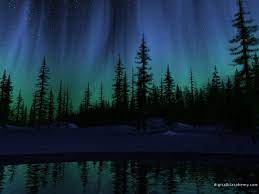 Forest At Night Aurora Borealis Digital Art Nature Wallpaper Image Northern Lights Wallpaper Northern Lights Painting Night Forest