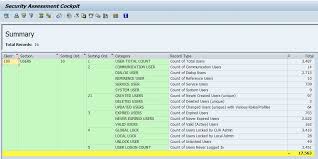 Instant Analysis Of All Your Sap Users From One Unified Screen This Report Will Give Your Sap Project Lever Security Assessment Internal Audit Security Audit