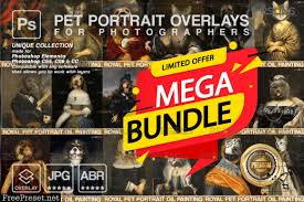Pet portrait background, template, photoshop digital backgrounds, pet painting, royal, pet, oil painting, dog, cat, art. Mega Bundle Royal Pet Portrait Templates