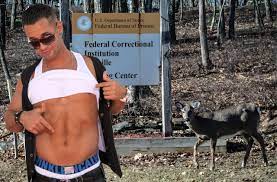 Mike 'The Situation' Sorrentino's 'Secret Homosexual' Prison Culture Exposed