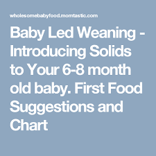 Introducing Solids To Your 6 Month To 8 Month Old Baby