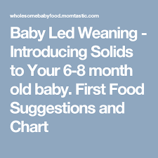 introducing solids to your 6 month to 8 month old baby