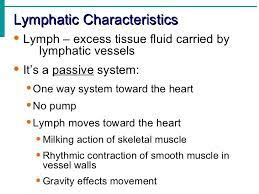 Lymphatic System Notes Lymphatic System Notes Lymphatic System Functions Lymphatic System Anatomy