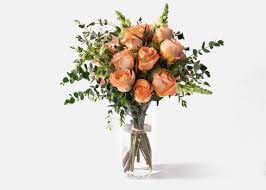 Besides sending flowers, you may also send flower hampers, flowers in vase. 0p7qnww5gih1um