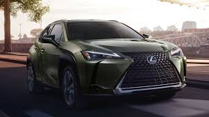 Image result for Nori Green 2020 UX