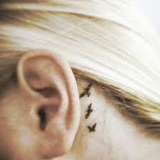 Pinterest Bird Tattoo Behind Ear Tattoos Bing Images Simple Bird Tattoo Swallow Bird Tattoos Little Bird Tattoos