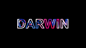 Letters Are Collected In City Darwin Then Scattered Into Strips Alpha Channel Stock Footage Darwin Scattered City Letters Darwin Letters Neon Signs