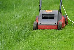 How much do lawn care services from trugreen cost? Do It Yourself Lawn Care Chicago Botanic Garden
