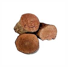 Image result for Salacia