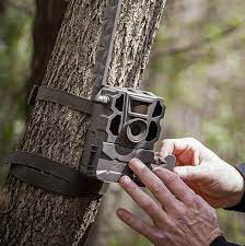 Check spelling or type a new query. Reveal X Tactacam 2021 Cellular Game Camera Pre Order Arrival Sept 2021 Boarmasters Bear Hog Deer And Elk Bait Lures Attractants Snares And Hunting