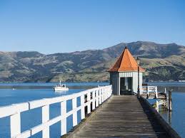 The most northern cruise stop in nz. Christchurch Tours From Akaroa New Zealand