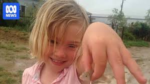 Winton's mysterious fishy tale amid Queensland drought