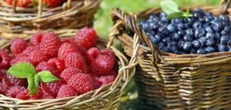 Les Fruits Rouges Pour Maigrir Le Blog Anaca3 Com