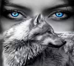 I was walking down a road on a hill a bit upset and he was running toward me big strong commanding but i wasn't scared i knew him, he knew me. Blue Wolf Eyes Wallpapers Top Free Blue Wolf Eyes Backgrounds Wallpaperaccess