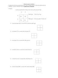 Draw a punnett square, list the ratio and describe the offspring. Punnett Square Worksheet Punnett Square Worksheet Complete The Following Monohybrid Crosses Draw A Punnett Square List The Ratio And Describe The Offspring Be Sure To Remember Pdf Document