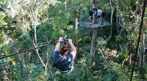 Practica el rapel de pared así como el rapel de. Actividades Y Tour Puerto Vallarta Canopy Adventure Vallarta Pesca Paseos En Bicicleta