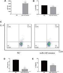 Compress jpeg images and photos for displaying on web pages, sharing on social networks or sending by email. Mir 145 Inhibits Th9 Cell Differentiation By Suppressing Activation Of Ott