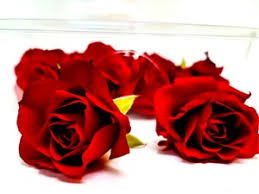 Mini roses this is us flowers plants plant royal icing flowers flower florals floral. Mini Rose Fresh Edible Flowers Innoflower