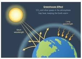 Here's a closer look at how it works the rest of the sun's energy (20%) is absorbed by greenhouse gases in the atmosphere, like carbon dioxide, water vapor, and methane. What Is Greenhouse Effects Brainly In