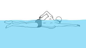 Jul 06, 2010 · drawing not shallow. How To Swim 13 Steps With Pictures Wikihow