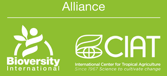 Stream tracks and playlists from tropical interface on your desktop or mobile device. Bioversity International Genebanks Cgiar Genebank Platform