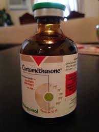 Doxapram is a respiratory stimulant, prescribed for airway obstruction and drug induced respiratory depression. Cortamethasone Vetoquinol 50ml It S A Vetoquinol Dexa