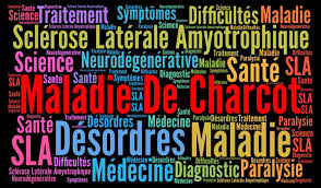 La cause exacte de la sla est jusqu'à aujourd'hui méconnue. Maladie De Charcot Symptomes Et Evolution De La Sla Conseils