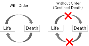 Lore of Golden Order Explained [Elden Ring]
