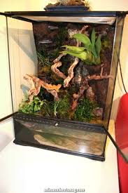 Epingle Par Morrigan Wakefield Sur Terrarium En 2020 Terrariums Gecko Gecko Vivarium Enclos Pour Reptiles