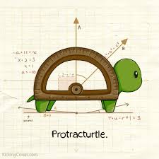 protractor turtle protracturtle math puns math humor math memes