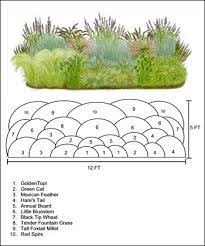 Design Layout Ornemental Grasses Google Search Ornamental Grass Landscape Grasses Landscaping Garden Landscape Design