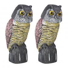 Wählen sie die termine aus, um tickets zu finden. 4 X Vogelschreck Eule Hier Online Kaufen