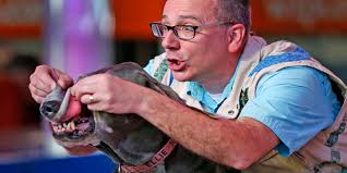 Midwest Outdoor Expo