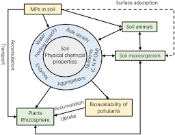 Microplastics In Soils A Review Of Methods Occurrence Fate Transport Ecological And Environmental Risks Sciencedirect