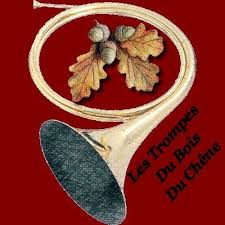 La recette de ce concert sera intégralement reversée à la fondation pour les monuments historiques. Les Trompes Du Bois Du Chene Posts Facebook